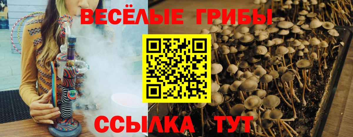 Галлюциногенные грибы Magic Shrooms Волжский