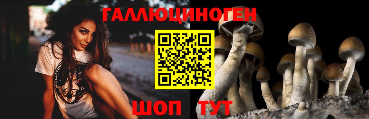 Волжский  дарнет шоп  Вход с VPN  Псилоцибиновые грибы Magic Shrooms 